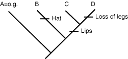 cladogram 1