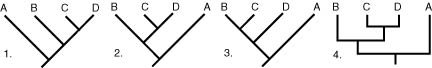 cladograms