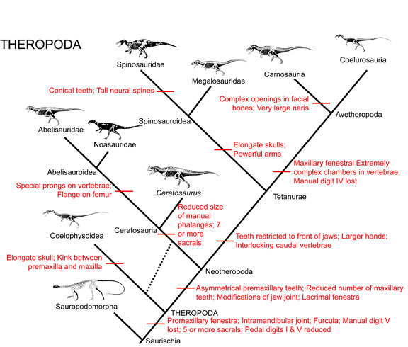 theropods list