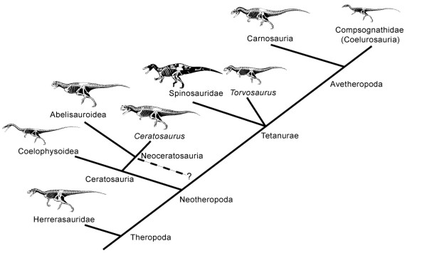 types of theropods