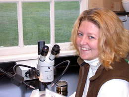 Kate Scheiderich