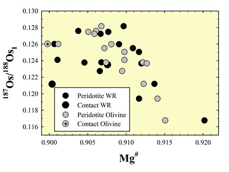 Plot of Mg# of whole rock (WR) and olivine versus initial <sup>187</sup>Os/<sup>188</sup>Os for Taitao peridotites. The generally negative trends are consistent with variable ancient melt depletion and indicate little change in bulk composition of the rocks since the original melt depletion event(s). Low <sup>187</sup>Os/<sup>188</sup>Os ratios (<0.118) indicate melt depletion occurred in spatially limited areas a minimum of about 1.6 billion years ago. Figure is from Schulte et al. (2009). Plot of Mg# of whole rock (WR) and olivine versus initial <sup>187</sup>Os/<sup>188</sup>Os for Taitao peridotites. The generally negative trends are consistent with variable ancient melt depletion and indicate little change in bulk composition of the rocks since the original melt depletion event(s). Low <sup>187</sup>Os/<sup>188</sup>Os ratios (<0.118) indicate melt depletion occurred in spatially limited areas a minimum of about 1.6 billion years ago. Figure is from Schulte et al. (2009).