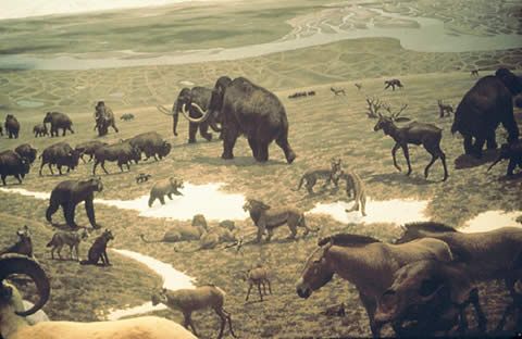 Living in a Warmer World: The Wild Biota Living in a Warmer World: The Wild Biota