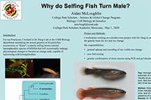 McLoughlin thumbnail