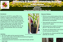 Villanueva thumbnail