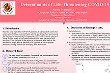 Evangelista thumbnail