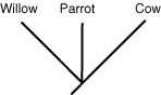 cladogram 1