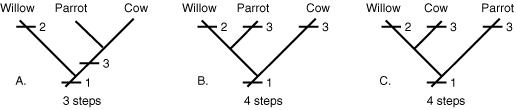 cladogram 1