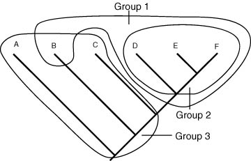 groups