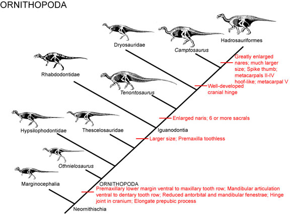 Resultado de imagen de ornithopoda